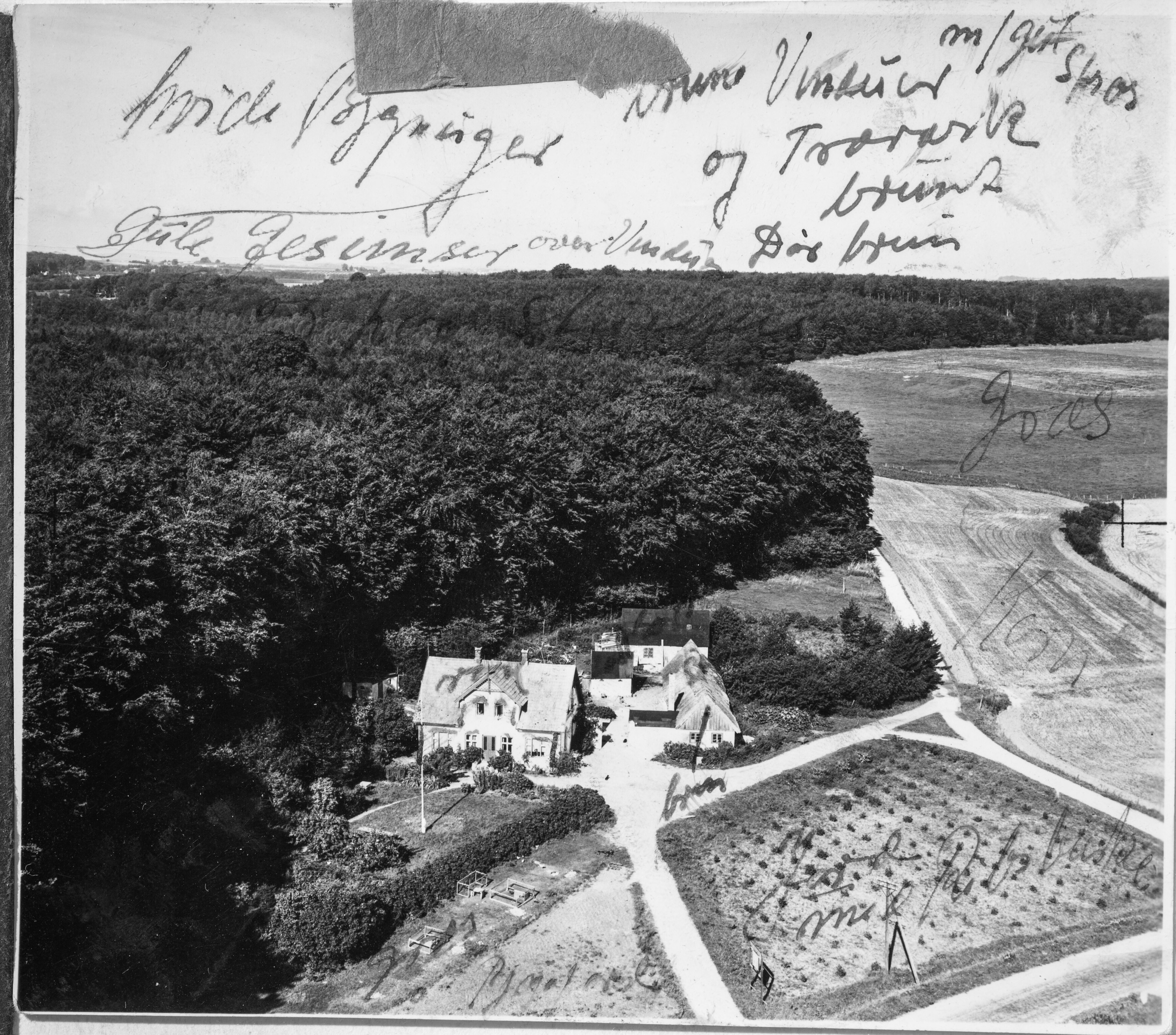 Skråfoto fra 1950 taget 133 meter fra Lyngevej 90