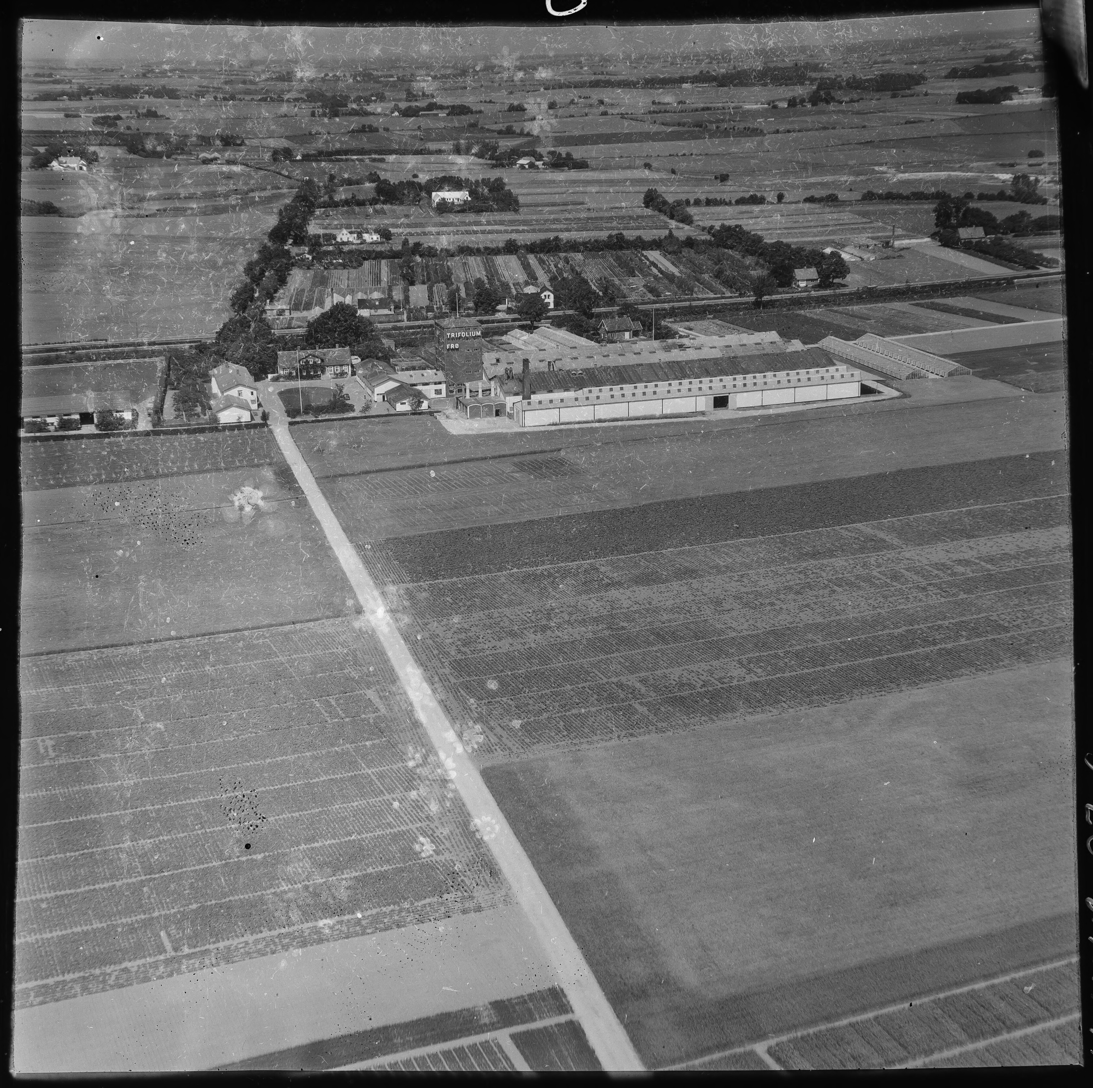 Skråfoto fra 1953 taget 200 meter fra Taastrupgårdsvej 85, 2. tv