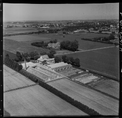 thumbnail: Skråfoto fra 1953 taget 19 meter fra Rønnevangshusene 12