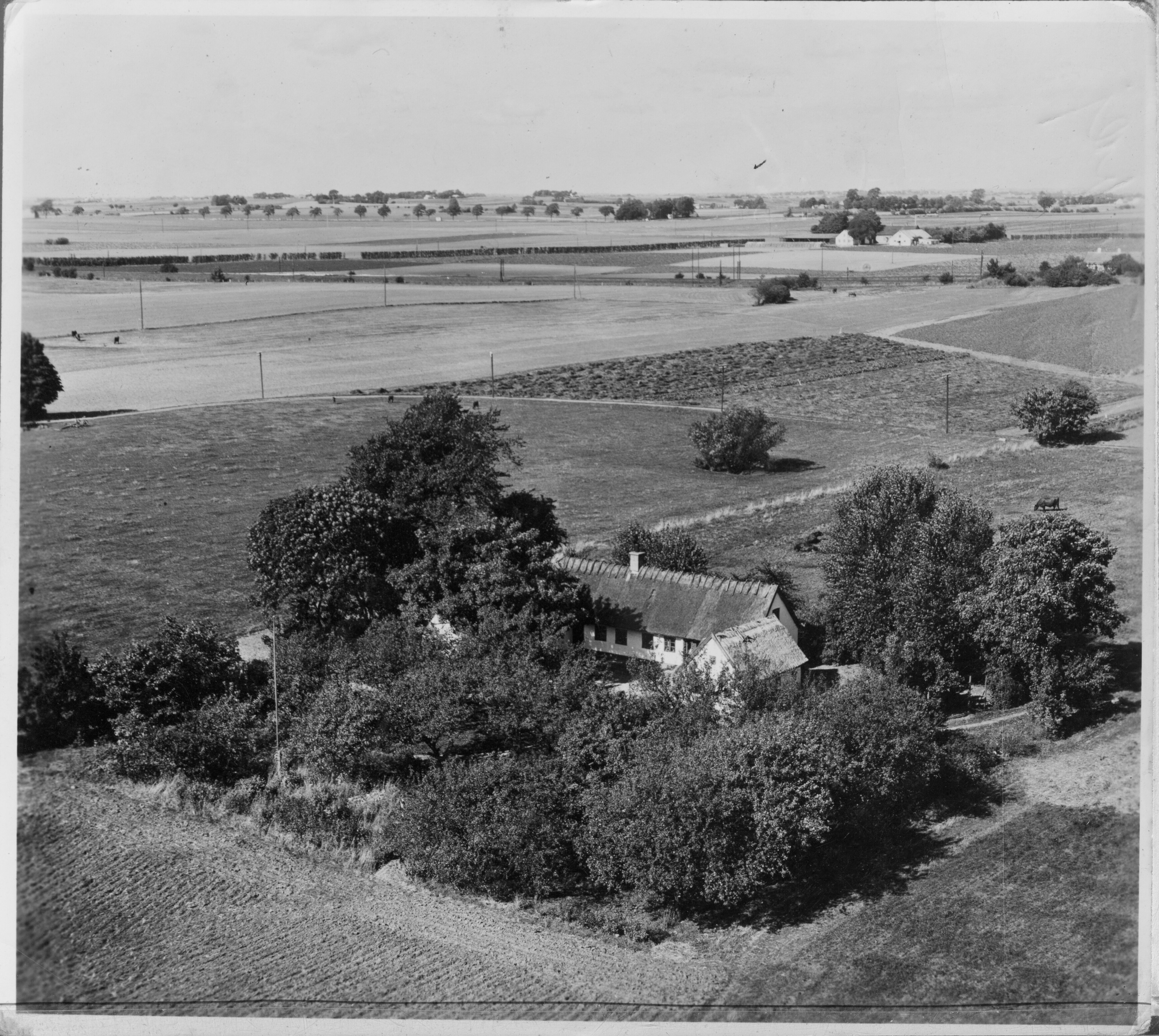 Skråfoto fra 1953 taget 169 meter fra Bohus Boulevard 1
