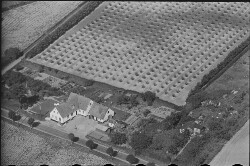 thumbnail: Skråfoto fra 1949 taget 125 meter fra Klostermosevej 123