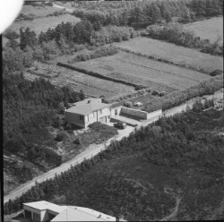 thumbnail: Skråfoto fra 1959 taget 309 meter fra Ringvej 21