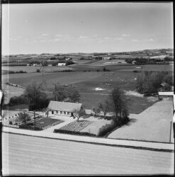 thumbnail: Skråfoto fra 1955 taget 3 meter fra Mustrupvej 285