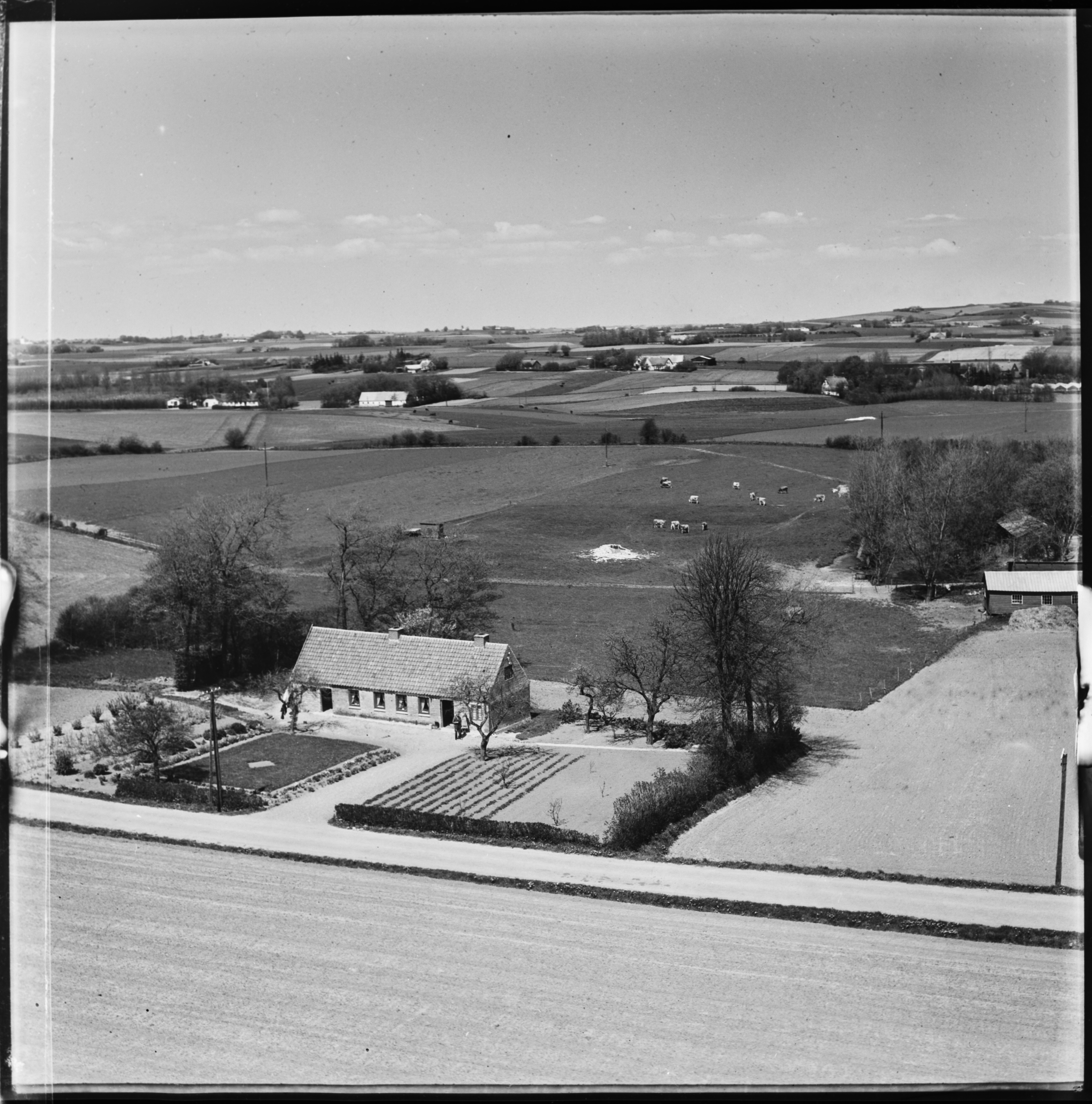 Skråfoto fra 1955 taget 3 meter fra Mustrupvej 285