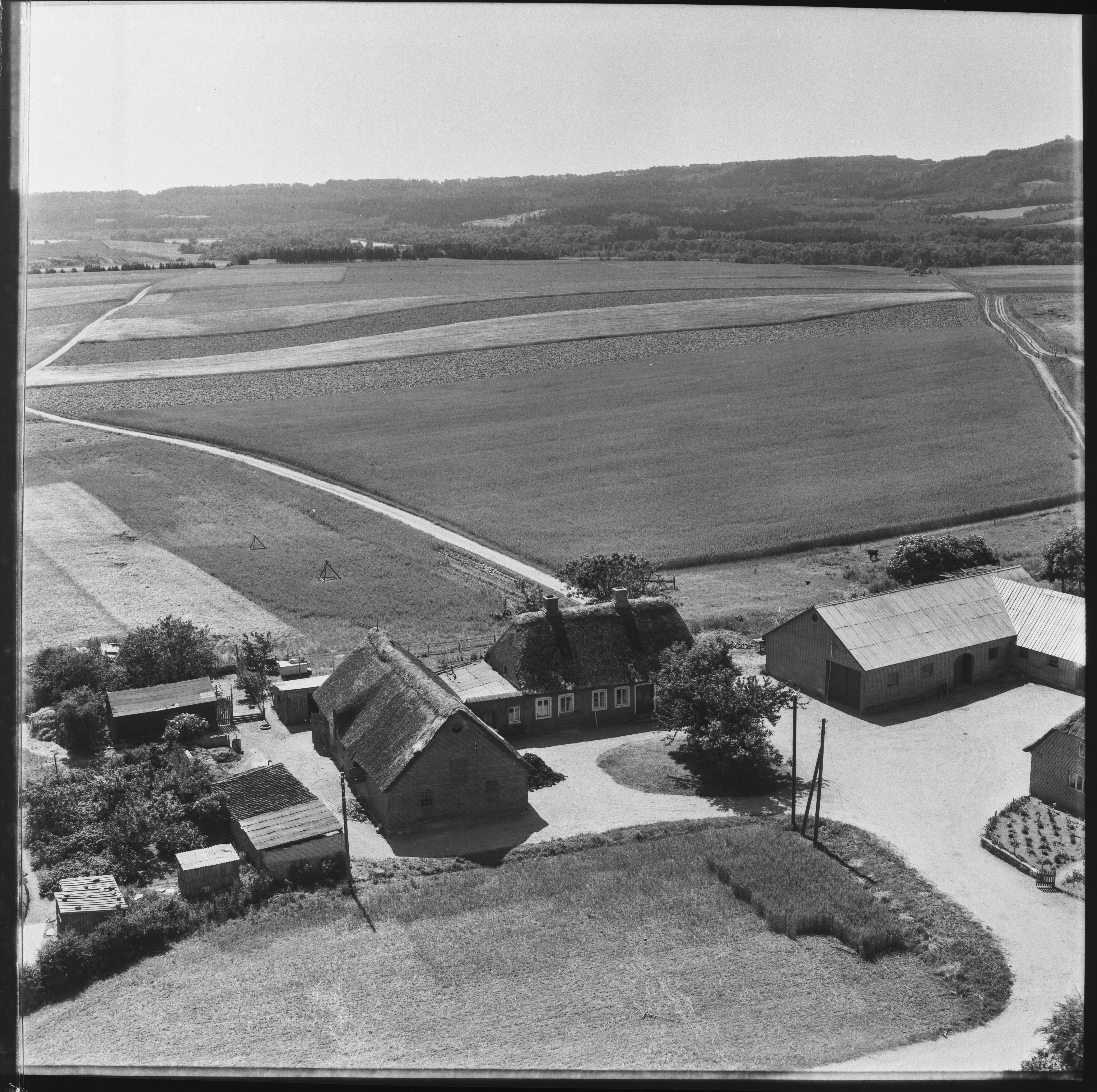 Skråfoto fra 1955 taget 4 meter fra Birkhedevej 40A