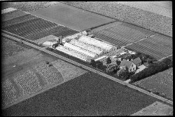 thumbnail: Skråfoto fra 1936-1938 taget 227 meter fra Karetmagerporten 90