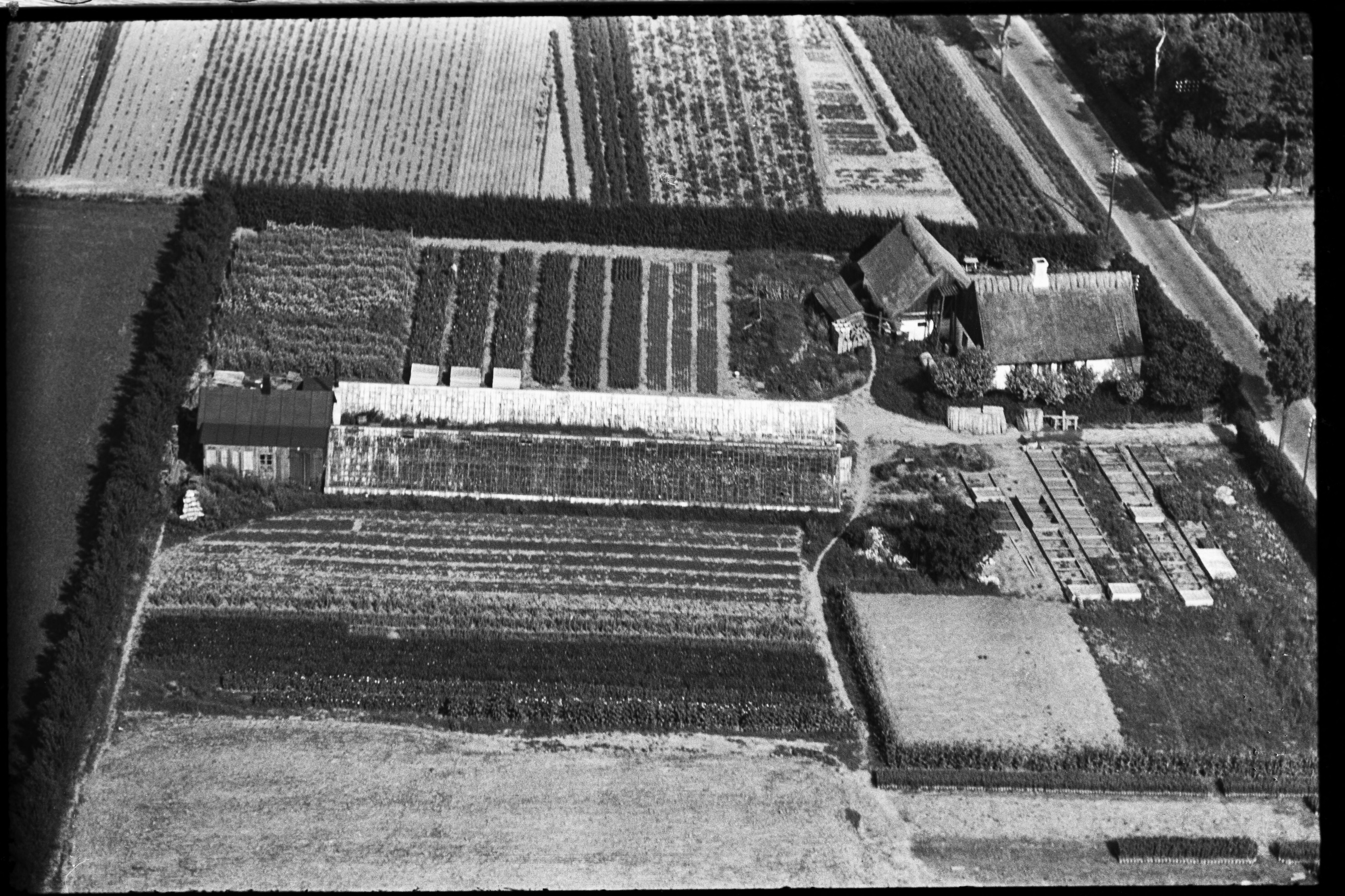 Skråfoto fra 1936-1938 taget 213 meter fra Lundedammen 92