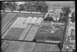 thumbnail: Skråfoto fra 1936-1938 taget 84 meter fra Brandstrupvej 65