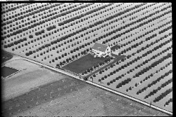thumbnail: Skråfoto fra 1936-1938 taget 77 meter fra Stenager 6, st. 9