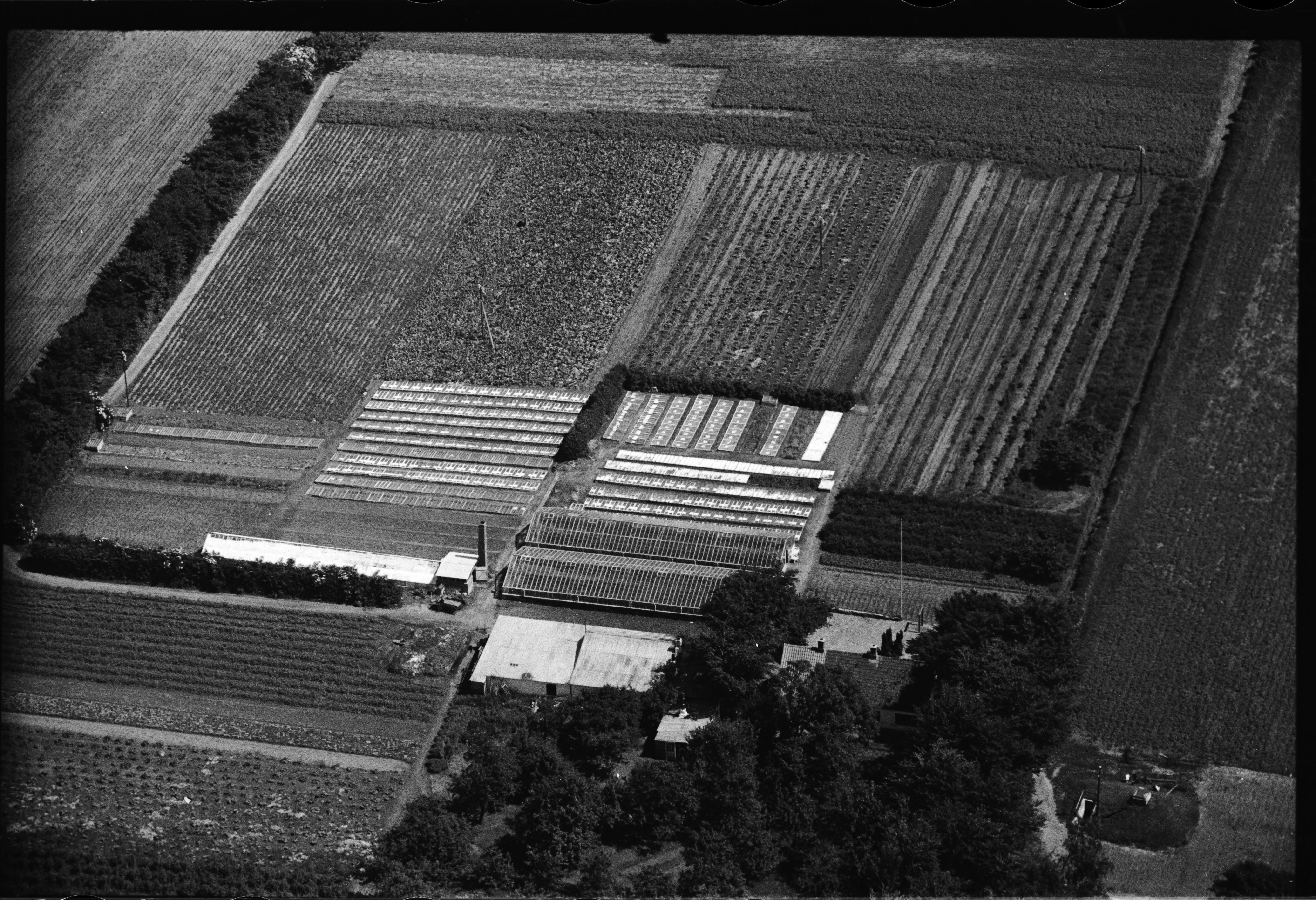 Skråfoto fra 1946 taget 77 meter fra Porshøjvej 45