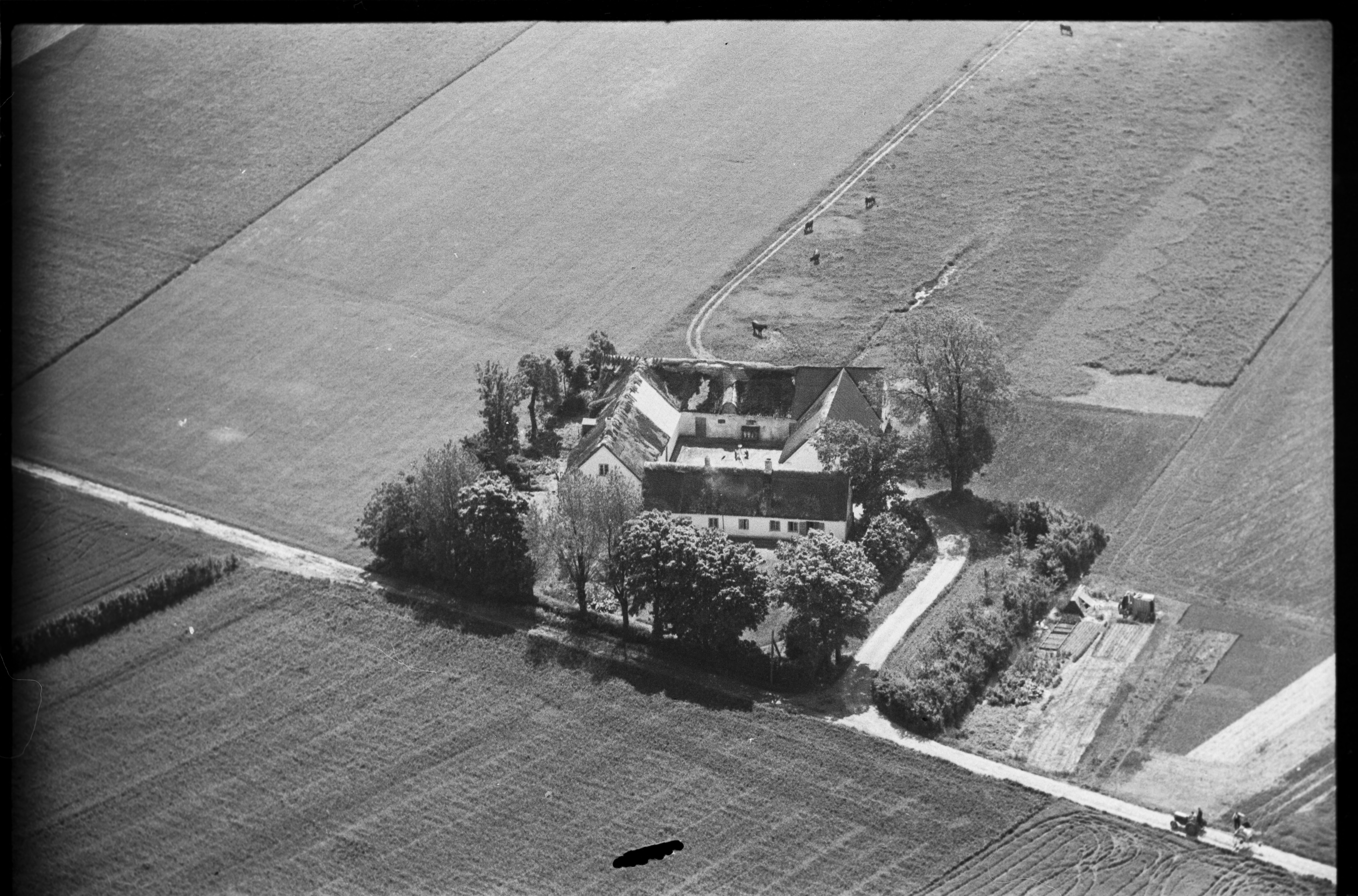 Skråfoto fra 1949 taget 506 meter fra Lærkedalen 128
