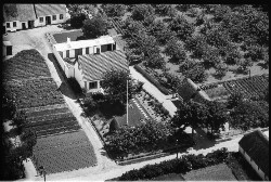 thumbnail: Skråfoto fra 1949 taget 25 meter fra Fruegade 11