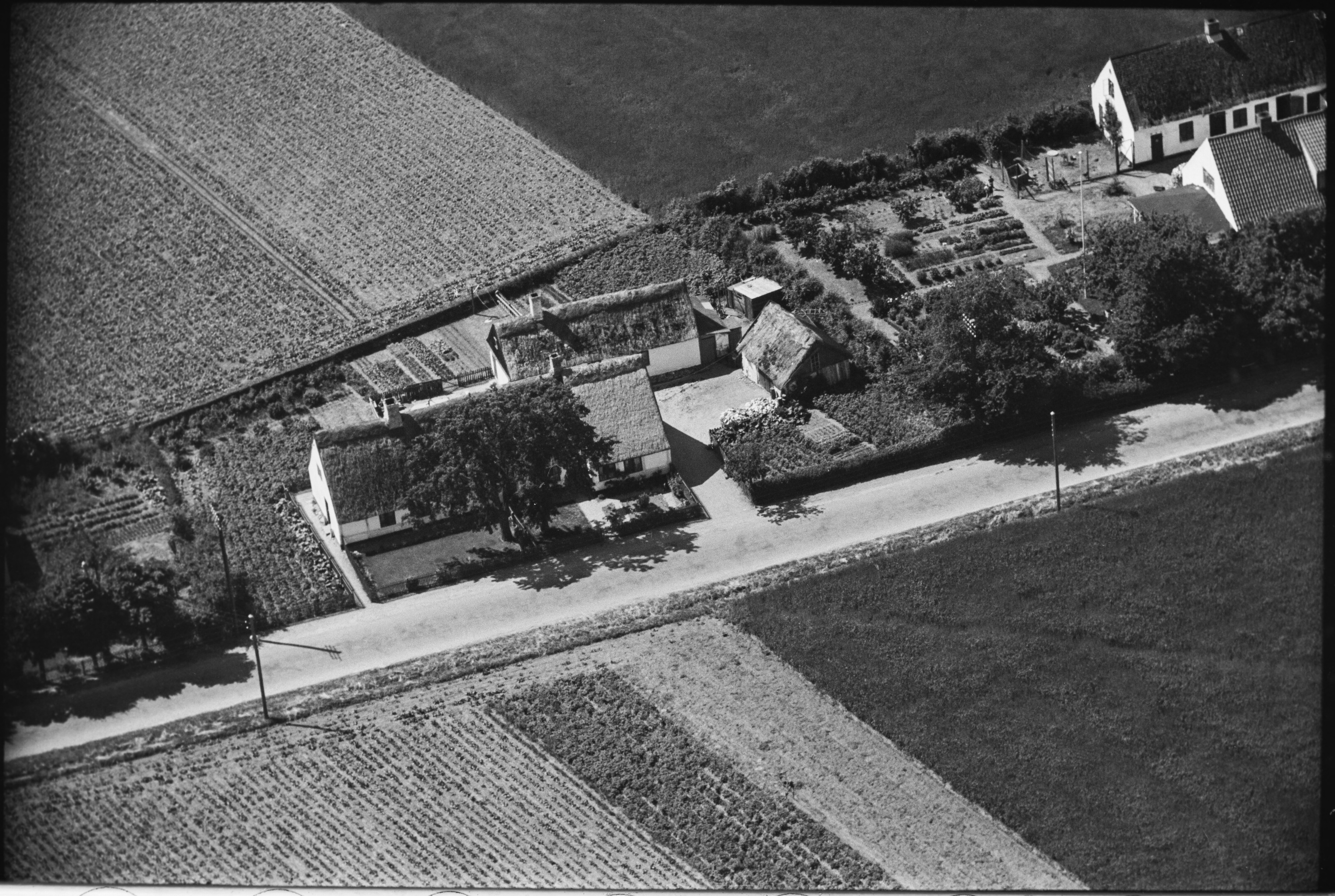 Skråfoto fra 1949 taget 29 meter fra Landerslevvej 127