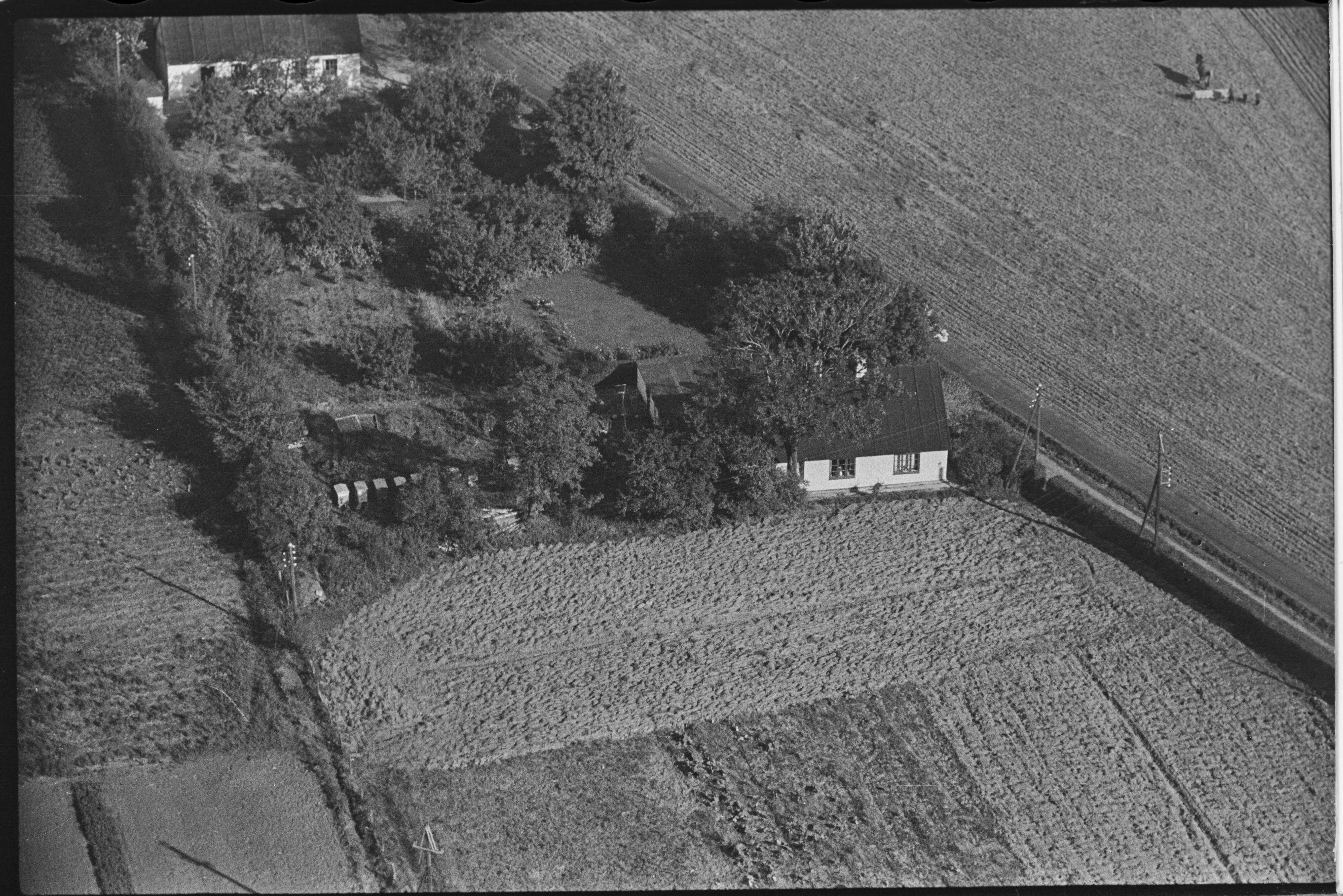 Skråfoto fra 1949 taget 50 meter fra Østre Lindeskov 235