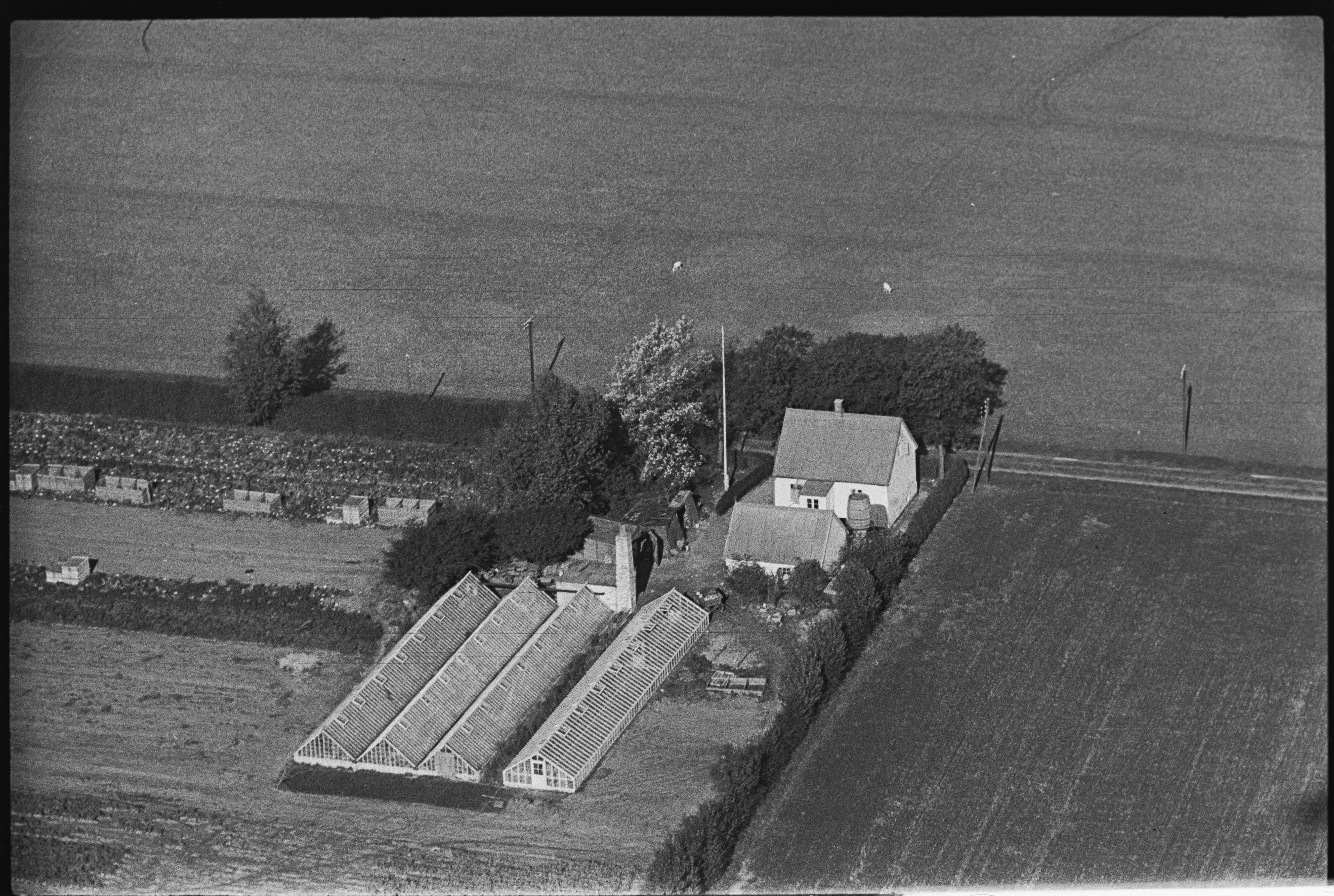 Skråfoto fra 1949 taget 95 meter fra Statenevej 60
