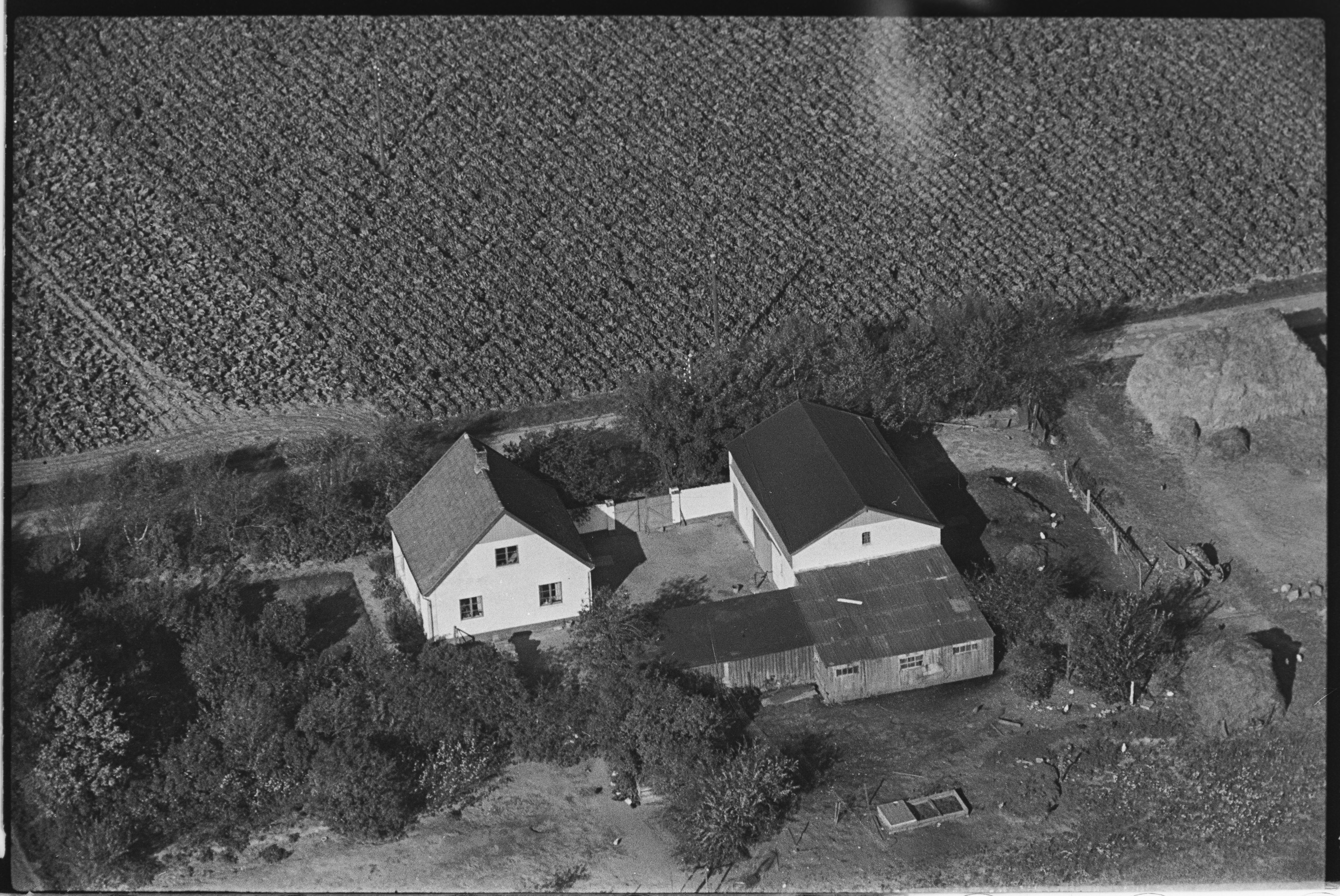 Skråfoto fra 1949 taget 227 meter fra Borgøvej 6