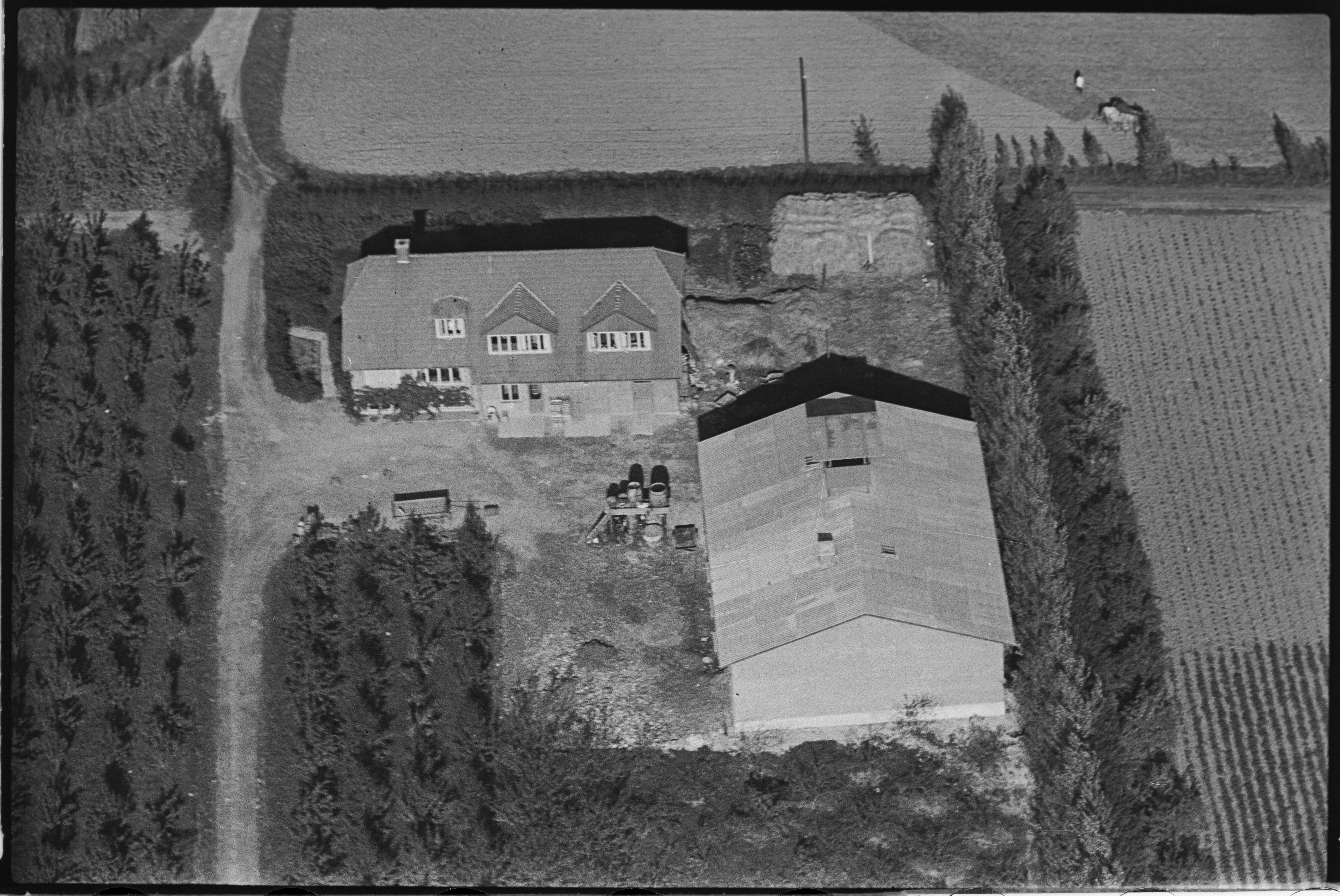 Skråfoto fra 1949 taget 411 meter fra Vængedalen 632