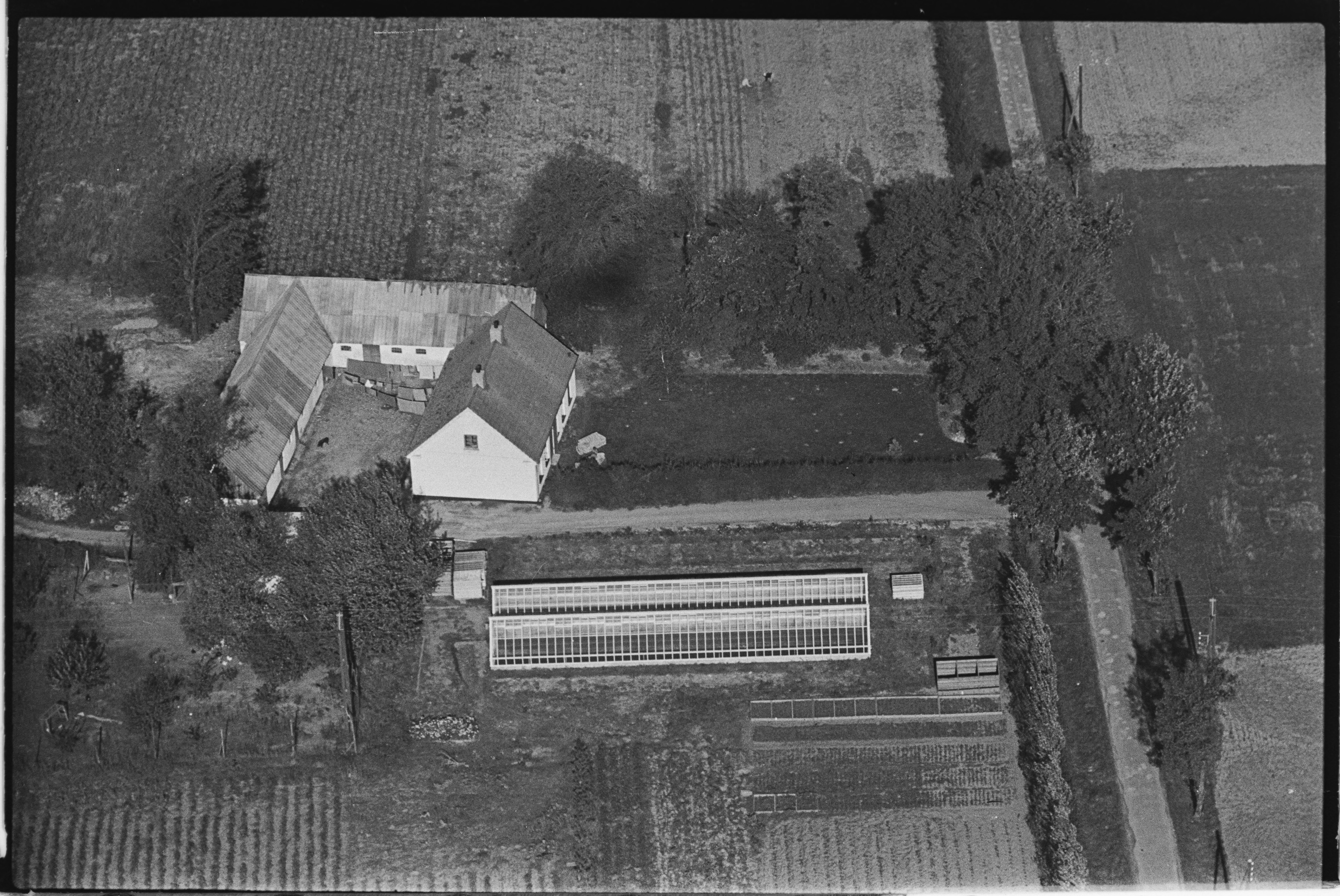 Skråfoto fra 1949 taget 197 meter fra Toftholmvænget 9