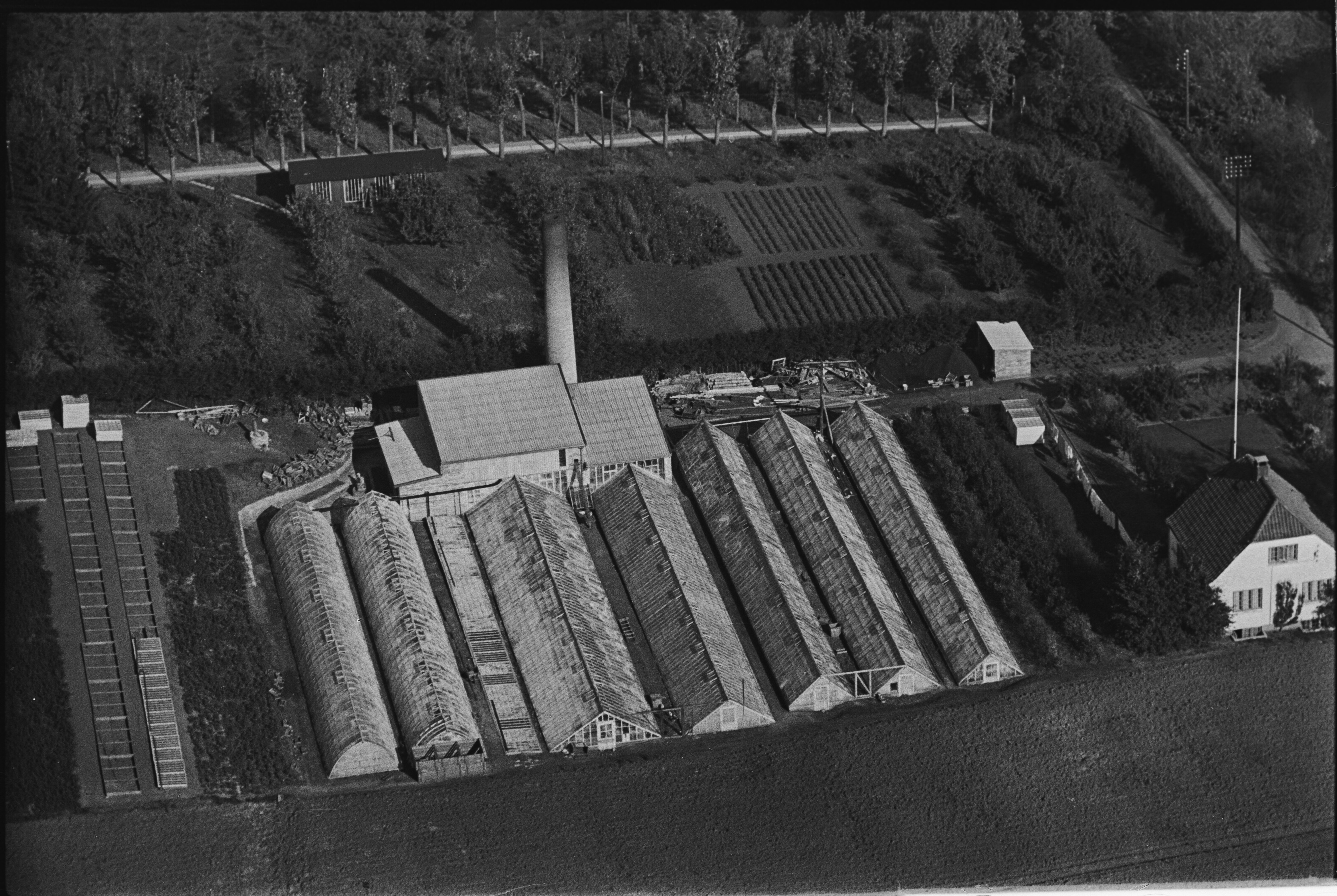 Skråfoto fra 1949 taget 117 meter fra Bæksø 4