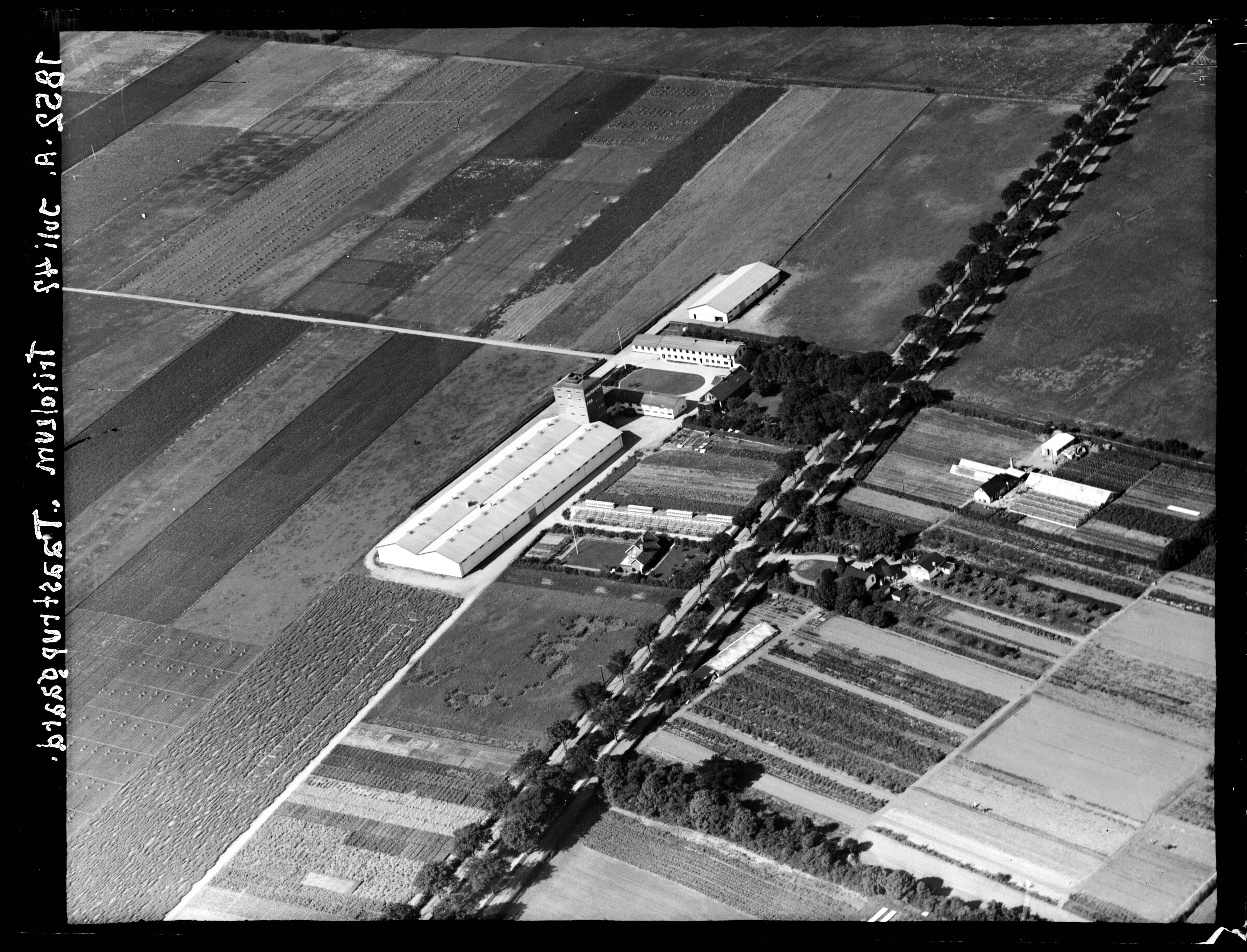 Skråfoto fra 1947 taget 304 meter fra Taastrupgårdsvej 199, 1. mf