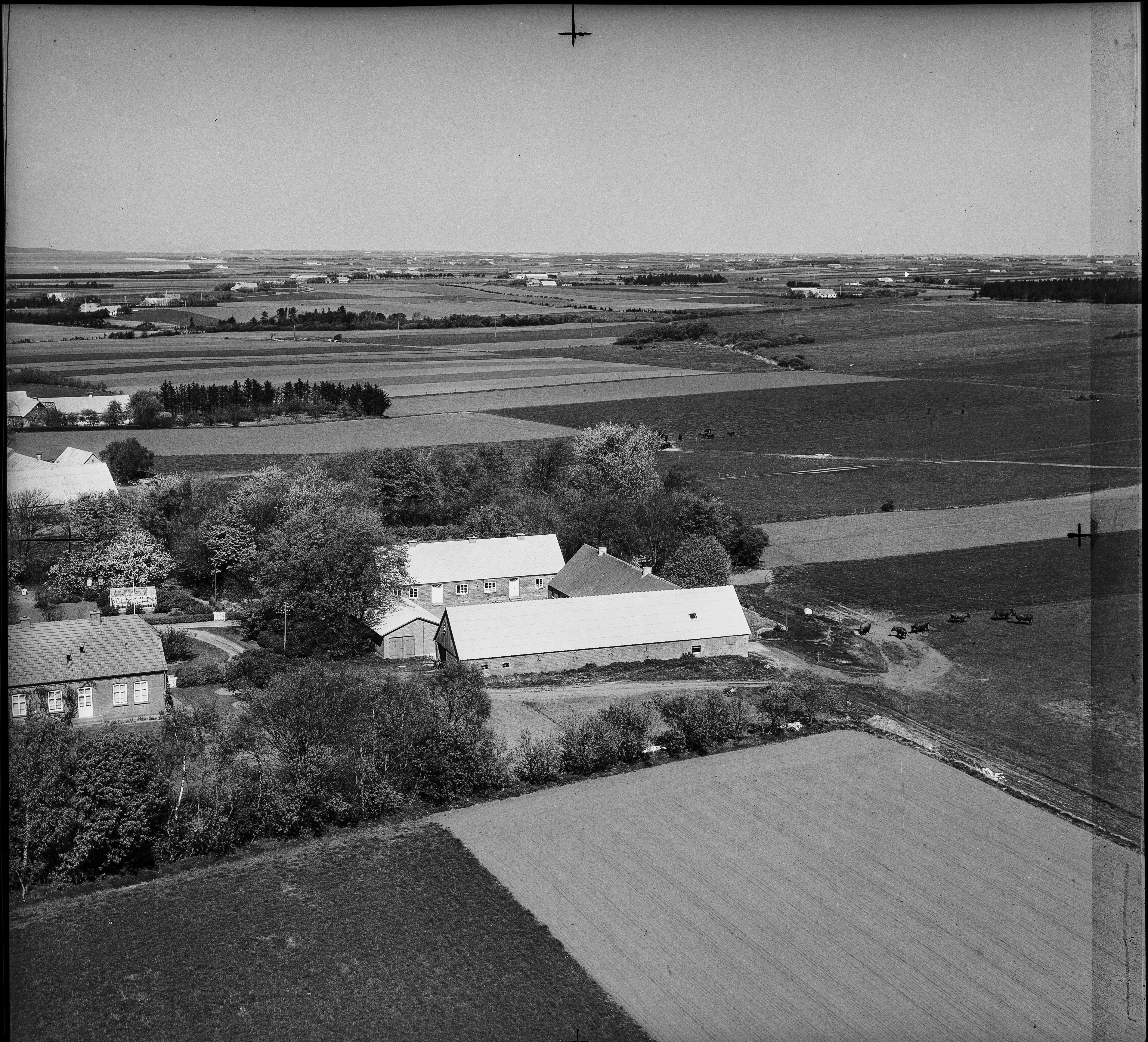 Skråfoto fra 1961 taget 14 meter fra Ålbækvej 46