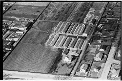 thumbnail: Skråfoto fra 1950-1954 taget 387 meter fra Abelsvej 8