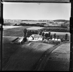 thumbnail: Skråfoto fra 1956 taget 230 meter fra Rosengårdsvej 8