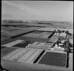 thumbnail: Skråfoto fra 1961 taget 98 meter fra Egevangshusene 287